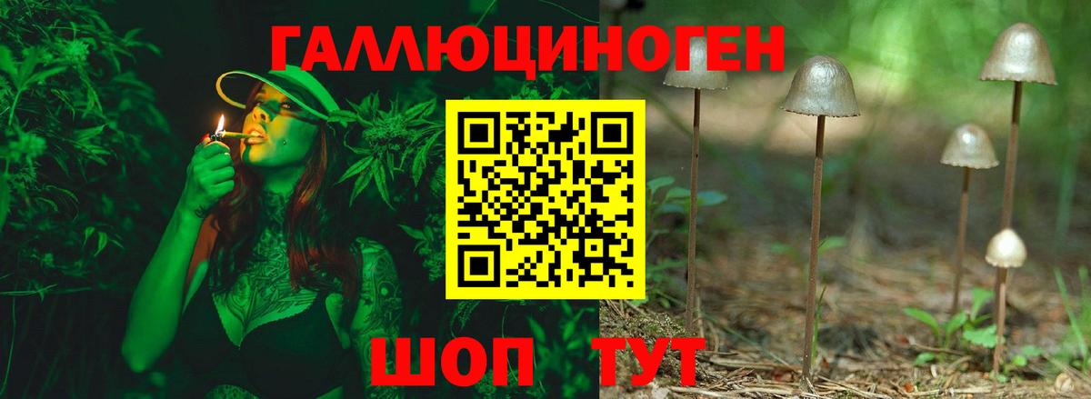 Галлюциногенные грибы мицелий  хочу   Воронеж  Вход с VPN  Псилоцибиновые грибы Cubensis 